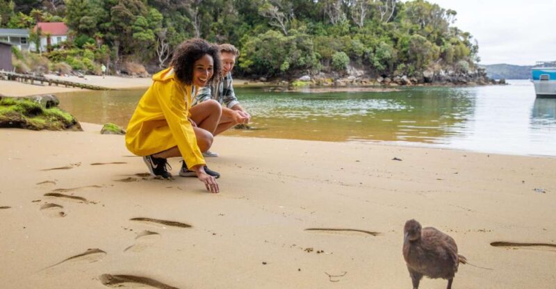 Stewart Island: Ulva Island Guided Wilderness Walk & Cruise - FAQ