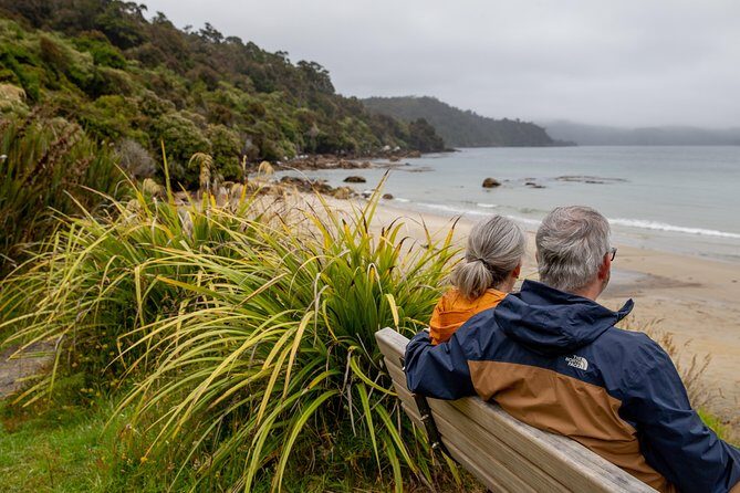 Stewart Island: Village and Bays Tour - Who Should Consider This Tour?