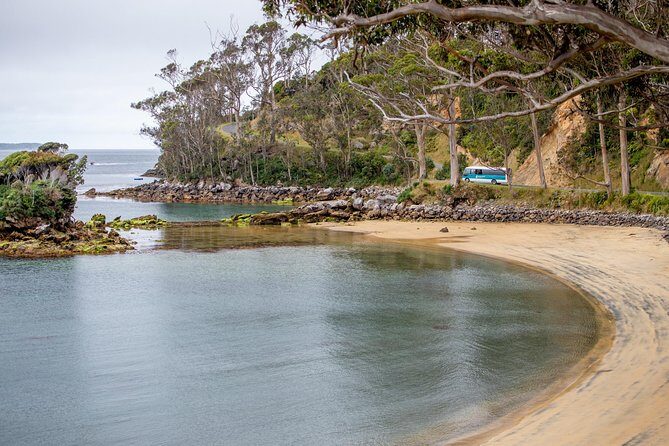 Stewart Island: Village and Bays Tour - FAQs