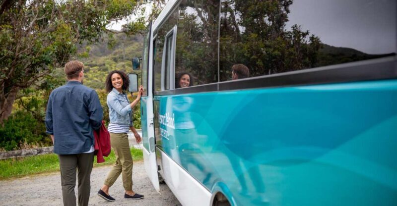Stewart Island: Village and Bays Tour - The Experience in Detail