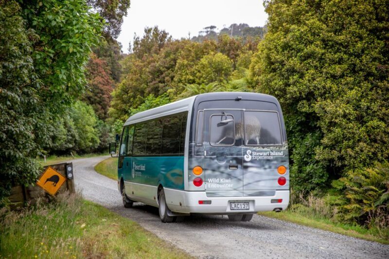 Stewart Island: Village and Bays Tour - Who Would Love This Tour?
