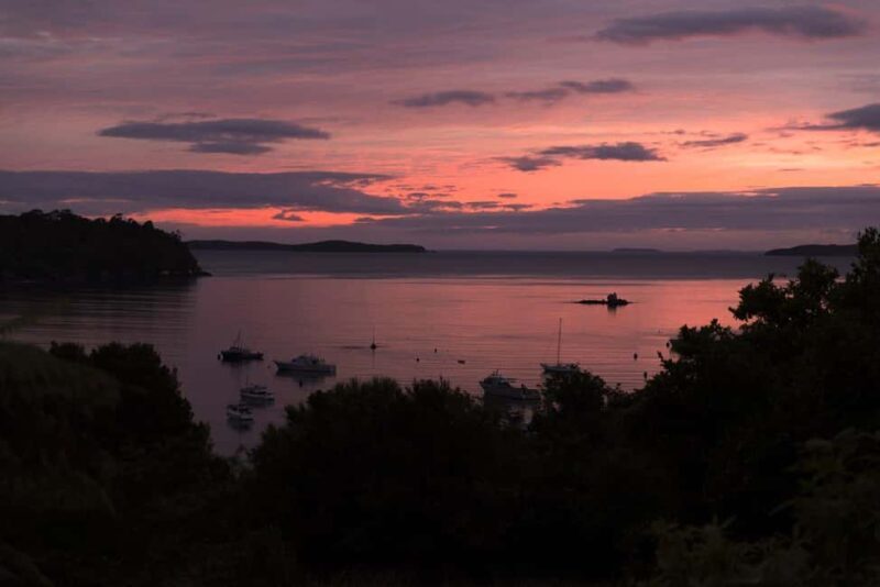 Stewart Island: Wild Kiwi Experiences - FAQs