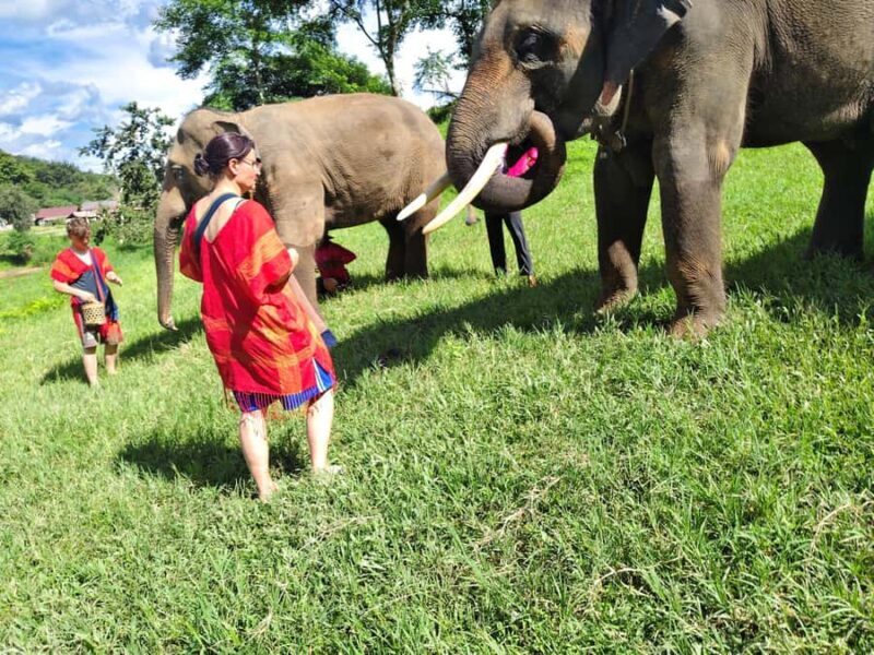 Sticky waterfalls- Elephants- Bamboo or White water rafting. - Practical Details and Tips