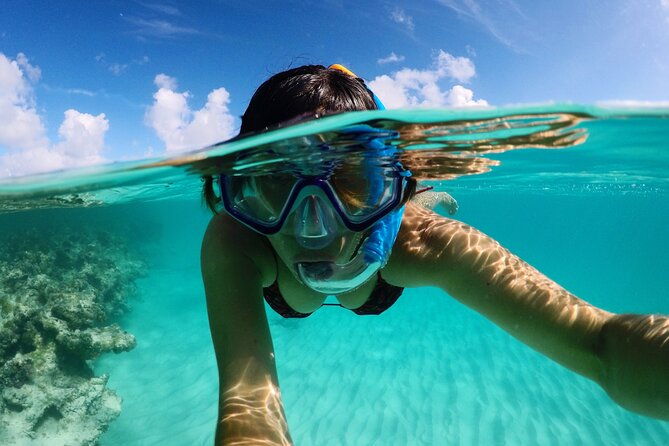 stingray-city-experience-antigua-round-trip-included