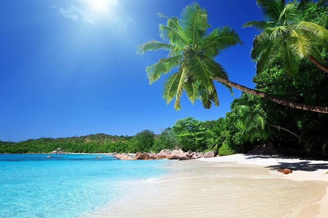 stingray-city-sandbar-coral-gardens-and-7-mile-beach-tour