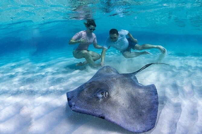 stingray-city-snorkeling-tour-for-cruise-ship-passengers