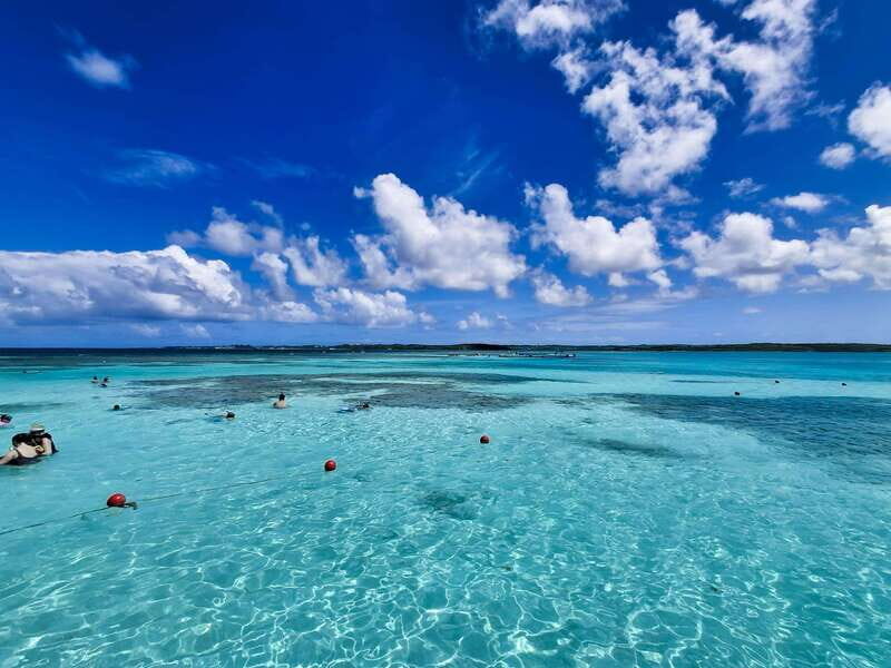 Stingray City & Tour in the East Coast of Antigua with Lunch - Key Points