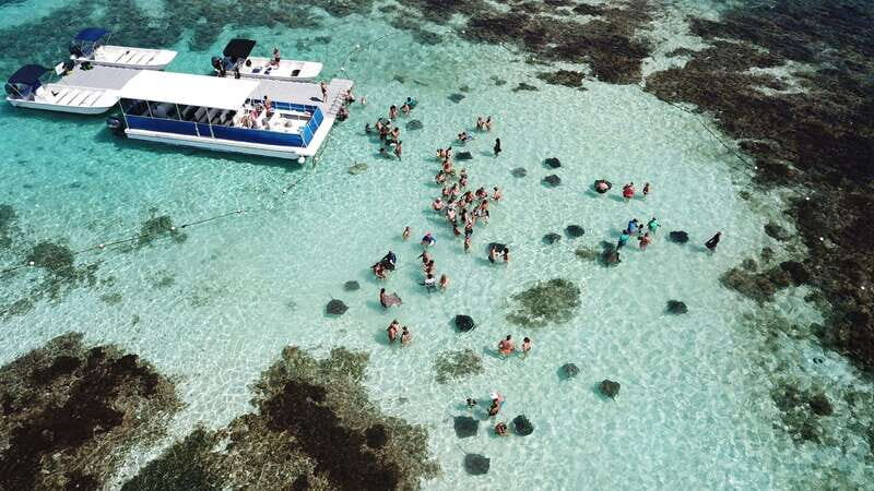 Stingray City & Tour in the East Coast of Antigua with Lunch - A Full Breakdown of the Experience
