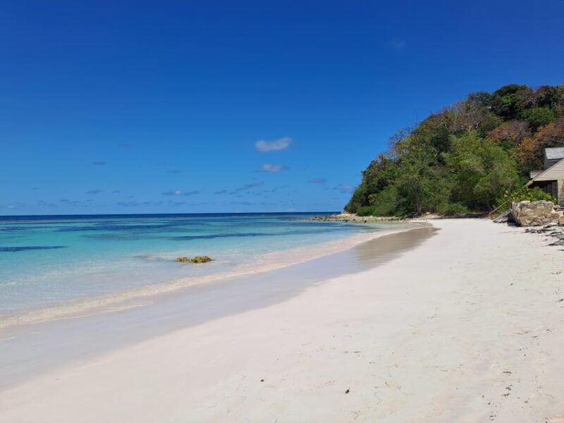 Stingray City & Tour in the East Coast of Antigua with Lunch - Frequently Asked Questions (FAQs)