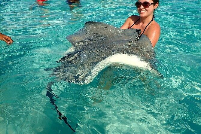 stingrays-starfish-and-snorkeling-tour