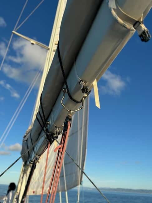 Stintino & Asinara Dream  15m Sailboat with Lunch Included - Key Points