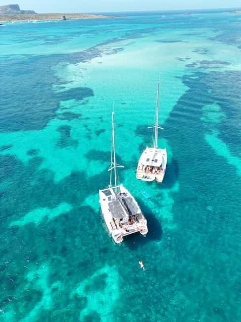 Stintino: full day tour catamaran Asinara Island - What Makes This Tour Stand Out?