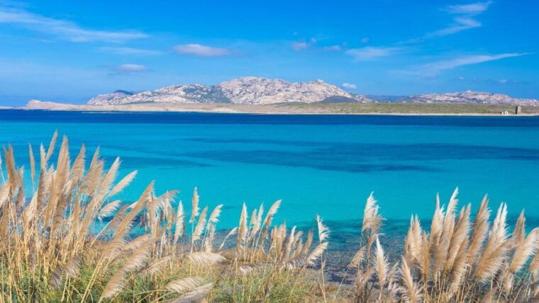stintino-half-day-catamaran-tour-to-la-pelosa-with-aperitif