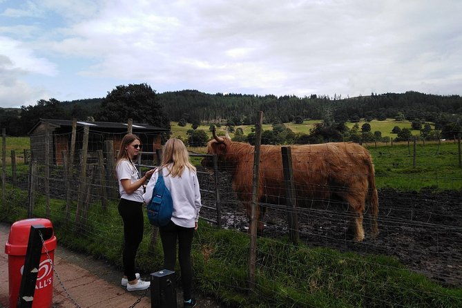 stirling-castle-hairy-coos-the-trossachs