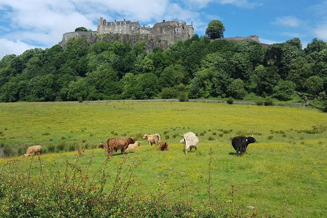 stirling-castle-trossachs-and-loch-lomond-shore-excursion