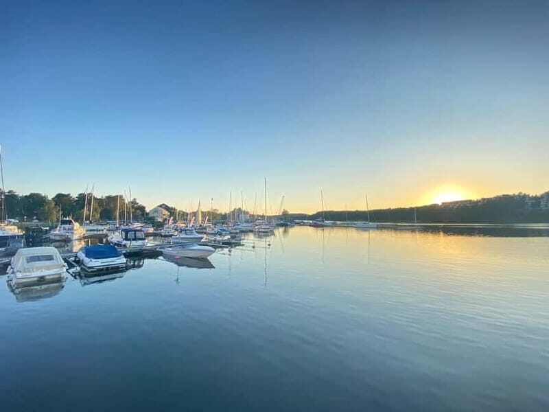 Stockholm: 2 Hour Guided Archipelago Islands Tour - The Experience in Detail
