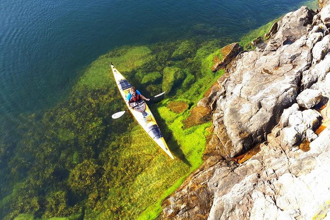 stockholm-archipelago-kayaking-day-tour