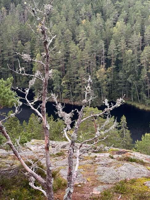 Stockholm: Canoe and Kayak Rental in Sörmland - Key Points
