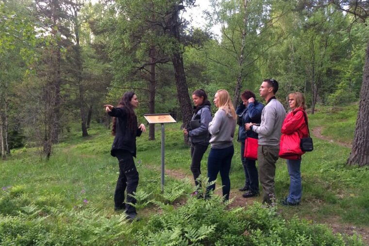 stockholm-evening-wildlife-safari-with-midsummer-meal
