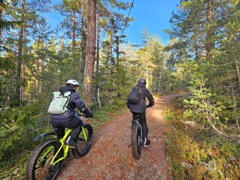 stockholm-fat-bike-forest-adventure-with-lunch-and-sauna