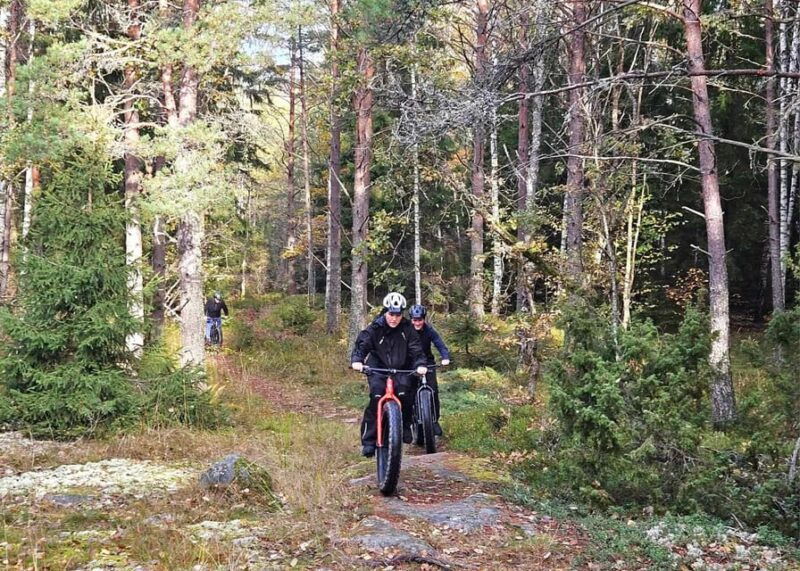 stockholm-fat-bike-forest-adventure-with-lunch-and-sauna