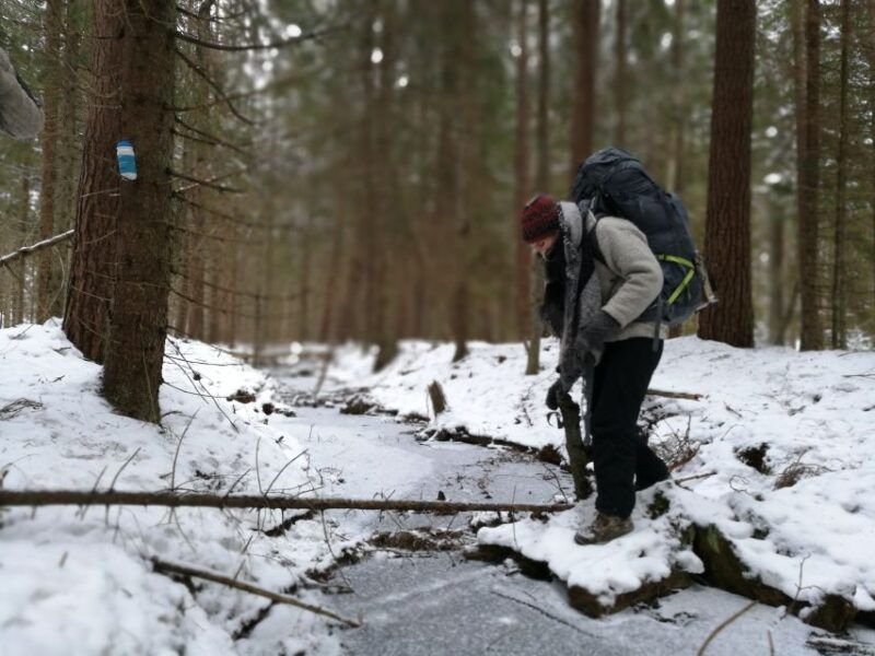 stockholm-nature-hike-with-campfire-lunch