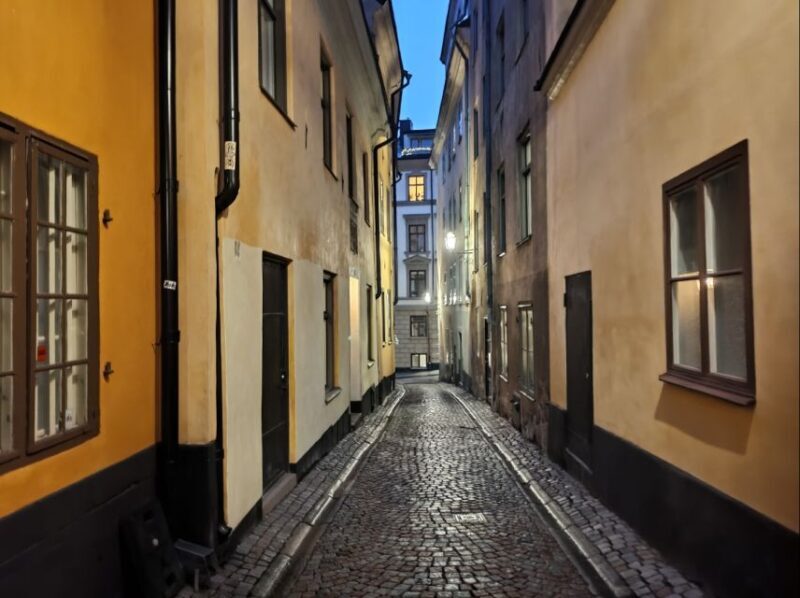 Stockholm: private 3h tour - Old Town, ferry and Vasa museum - The Sum Up