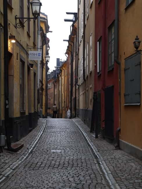 Stockholm: Private Guided Car Tour and Vasa Museum Entry - Timing and Flexibility