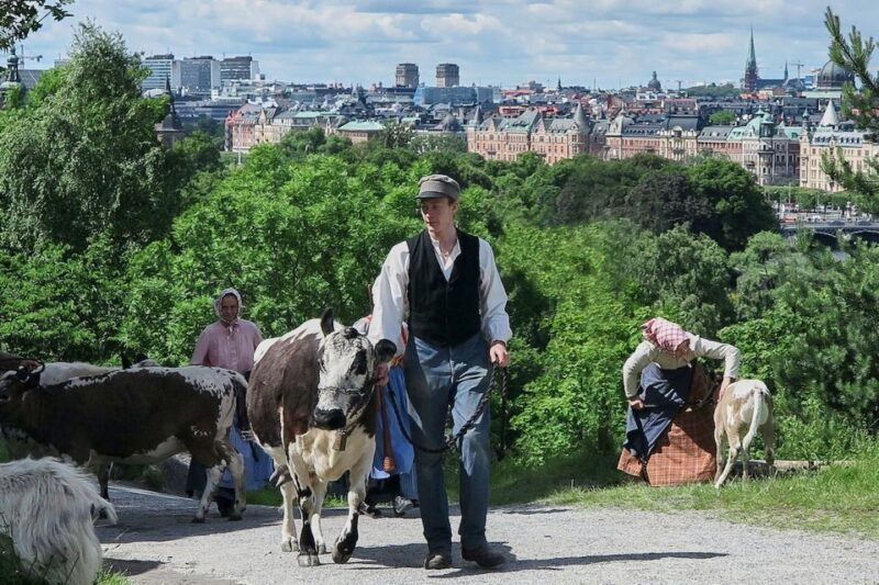 stockholm-skansen-open-air-museum-admission-ticket