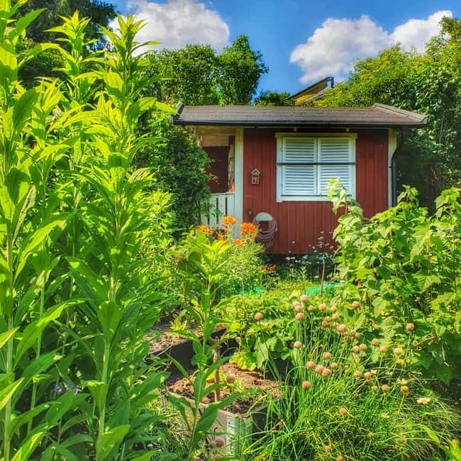 Stockholm: Södermalm Allotment Gardens & Parks Walking Tour - An In-Depth Look at the Tour