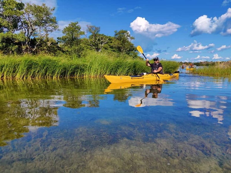 Stockholm: Stockholm Archipelago Full-Day Kayak Tour - Key Points