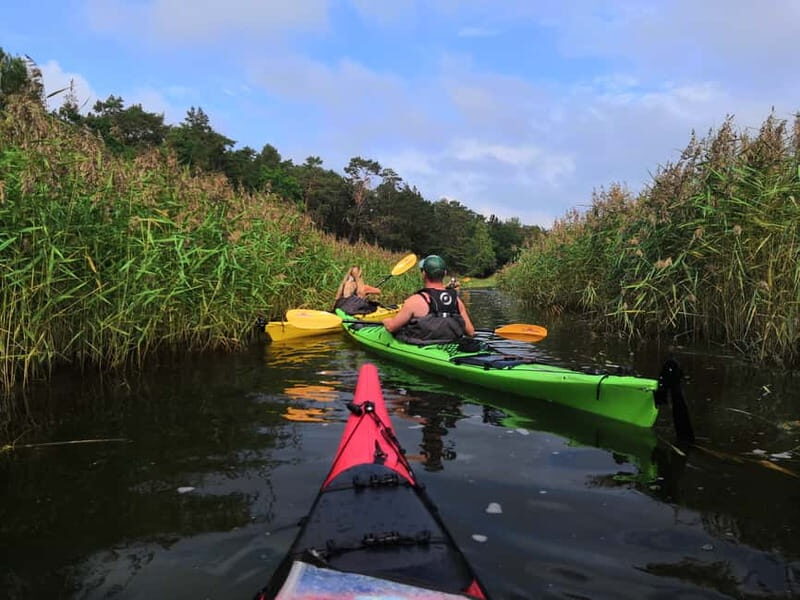 Stockholm: Stockholm Archipelago Full-Day Kayak Tour - A Closer Look at the Stockholm Archipelago Kayak Tour