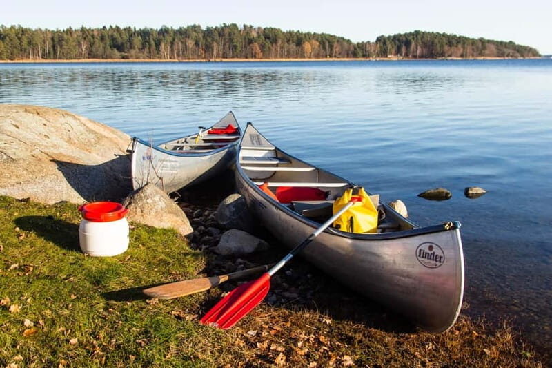 Stockholm: Sunset Canoe Beaver Safari & BBQ on Island - An In-Depth Look at the Experience