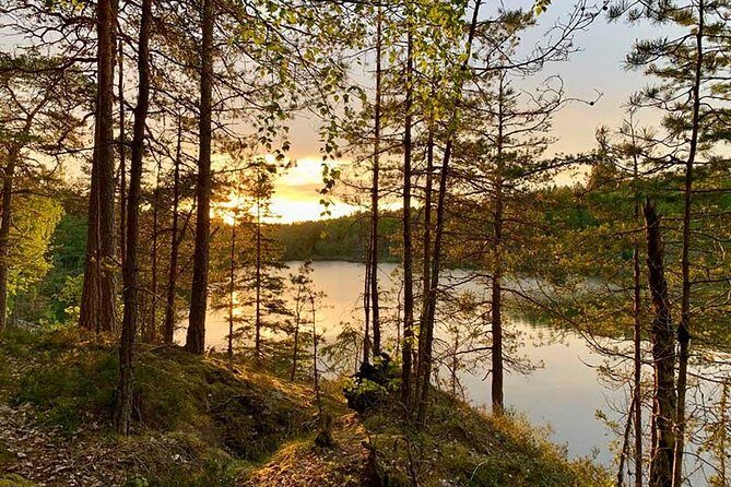 Stockholm: Sunset Hike in Tyresta National Park with Meal - Transportation and Accessibility