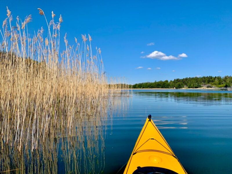 stockholm-sunset-kayak-tour-in-the-archipelago-fika
