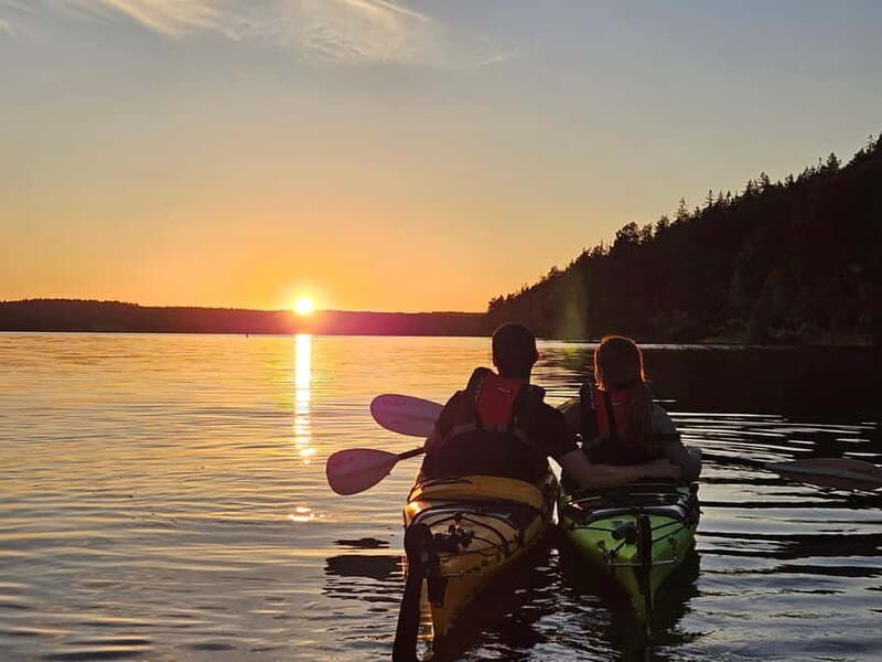 Stockholm: Sunset Kayak Tour on Lake Mälaren with Tea & Cake - What to Expect from the Tour