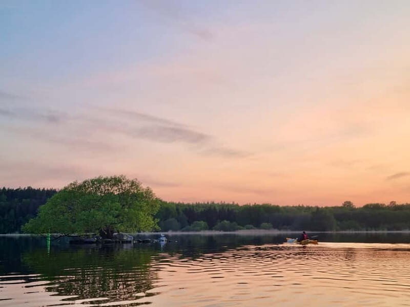 Stockholm: Sunset Kayak Tour on Lake Mälaren with Tea & Cake - The Sum Up
