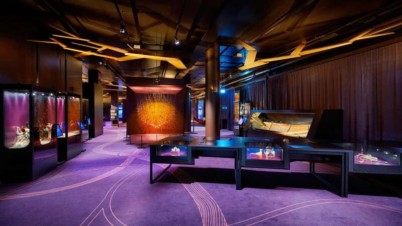 Stockholm: The Swedish History Museum Entry Ticket - A Deep Dive into the Museum Experience