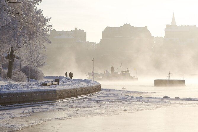 stockholm-winter-boat-tour-with-guide-2