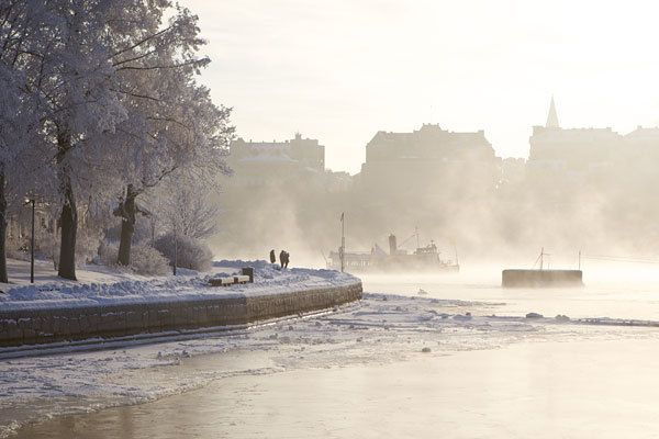 stockholm-winter-boat-tour-with-guide-3