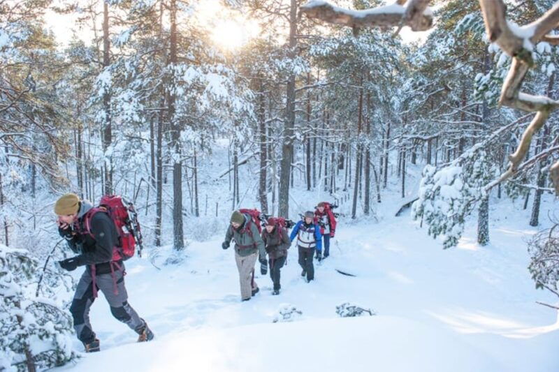 stockholm-winter-snowshoe-full-day-hike