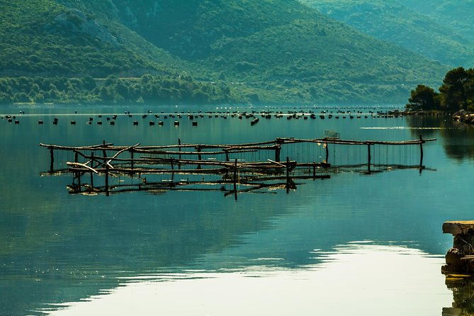 ston-oyster-tasting-tour-from-dubrovnik