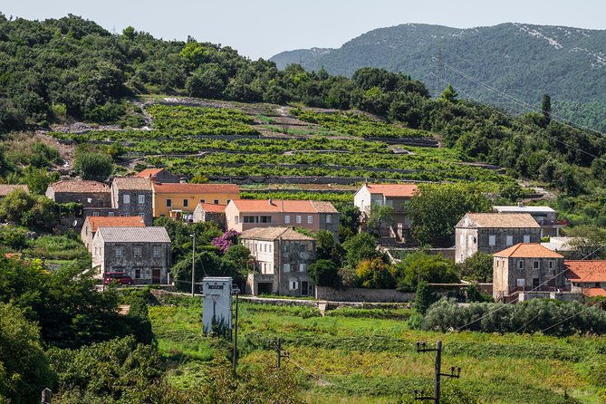 ston-oyster-tasting-tour-from-dubrovnik