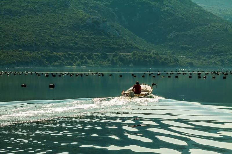 Ston Oyster & Wine Tasting Private Tour From Dubrovnik - Introduction: Why Consider This Tour?