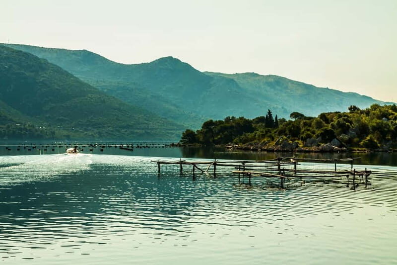 Ston Oyster & Wine Tasting Private Tour From Dubrovnik - Final Thoughts