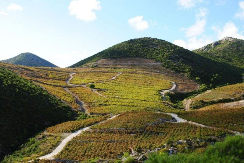ston-oysters-and-wine-tasting-tour-from-dubrovnik