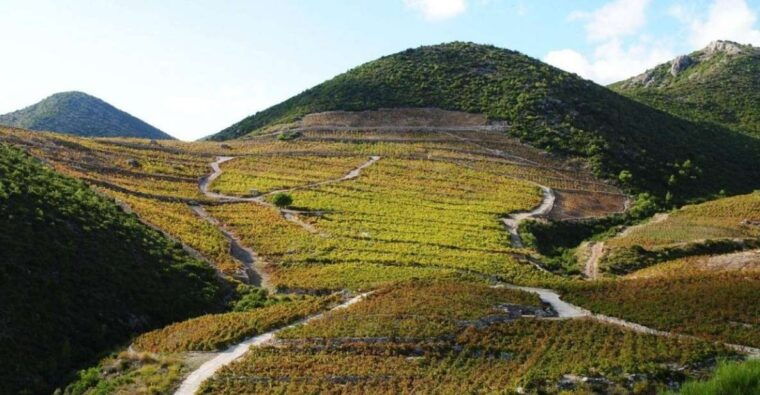 ston-oysters-and-wine-tasting-tour-from-dubrovnik