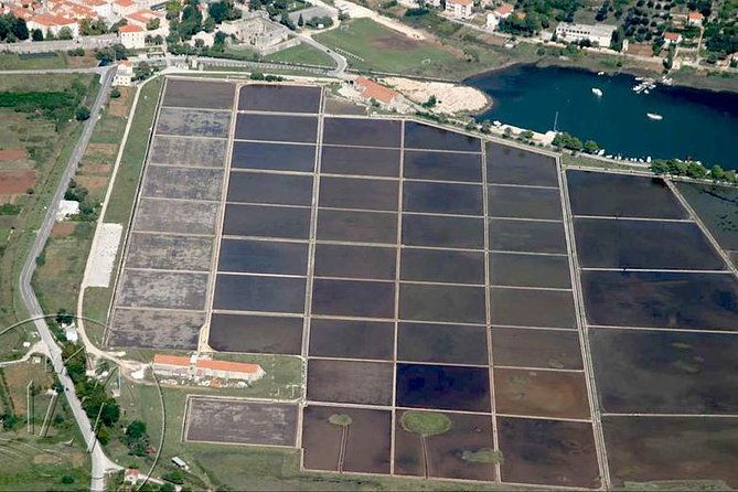 ston-trsteno-arboretum-private-excursion-from-dubrovnik-w-mercedes-vehicle