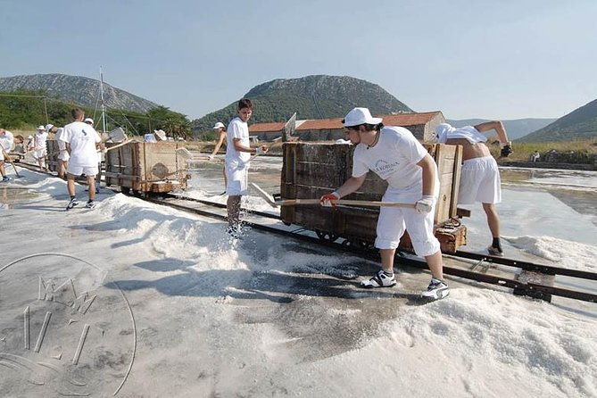 ston-trsteno-arboretum-private-excursion-from-dubrovnik-w-mercedes-vehicle