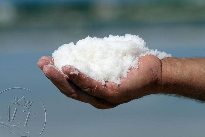 ston-trsteno-arboretum-private-excursion-from-dubrovnik-w-mercedes-vehicle